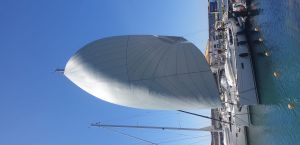 Sun Odyssey 519