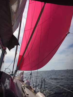 Oceanis 37