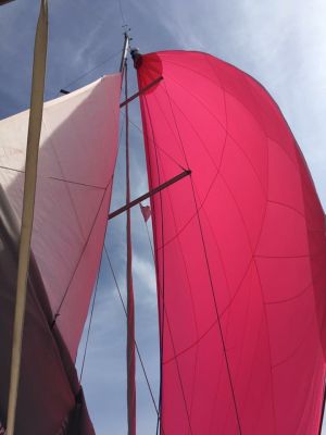 Oceanis 37