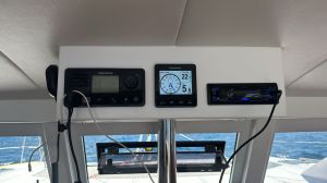 C-Cat 37