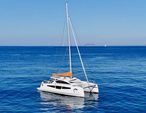 C-Cat 37