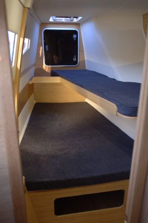 C-Cat 37