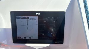 C-Cat 37