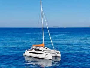 C-Cat 37