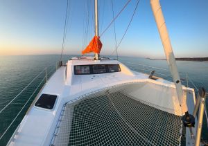 C-Cat 37