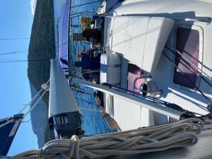 Bavaria 46 Cruiser