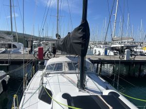 Pogo 36