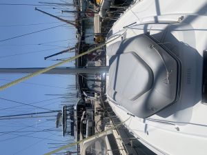 Bavaria C42